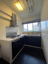 Blk 290C Spring View (Bukit Batok), HDB Executive #557199521